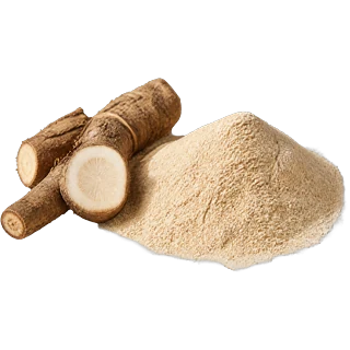 Fibres prébiotiques